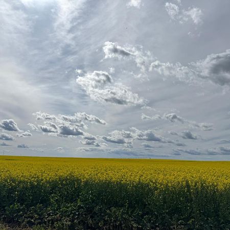 Morgan Inn And Suites Walla Walla Milton-Freewater Екстериор снимка